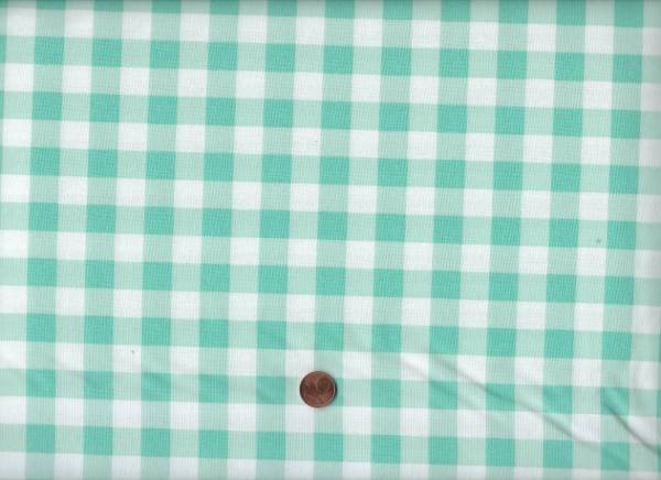 Coriander Colors Gingham aqua