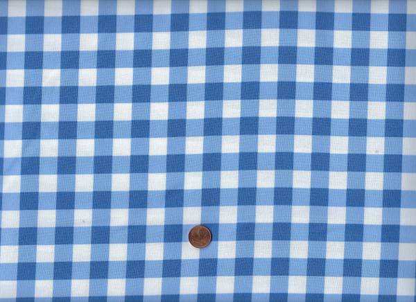 Coriander Colors Gingham blue