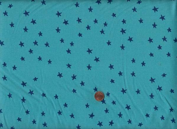 A. Abegg Starry turquoise Widebacking 10