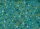 x-mas Brights Motifs teal