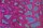 Brandon Mably Animal bm76 pink