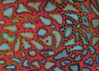 Brandon Mably Animal bm76 orange