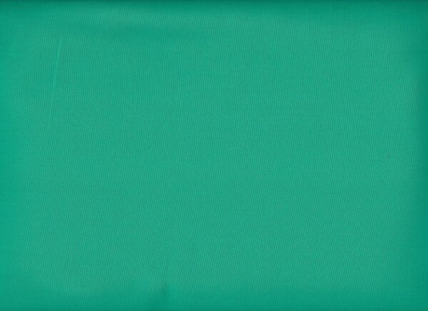 Bella Solids spearmint 304