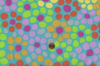 B. Mably Flower Dot bm77 aqua