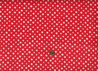 Bathing Beaties Polka Dot red