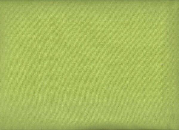 Bella Solids Pistachio 134