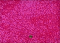 Alison Glass Sunprint Textures Entropy Strawberry