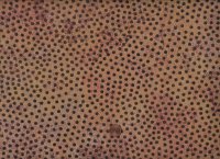 Stonehenge Retro Vibes Dotty rust