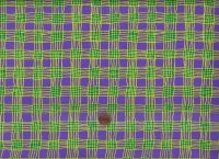 B. Mably BM089 Gingham purple